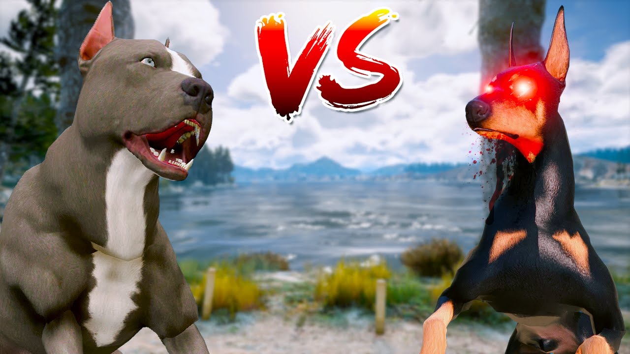 PİTBULL TERMİNATÖR ŞEYTAN DOBERMAN DEMON'LA DÖVÜŞÜYOR! - GTA 5