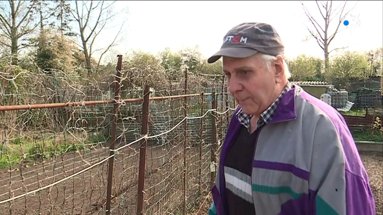 A Marly, les jardins ouvriers menacés par l'agrandissement du golf