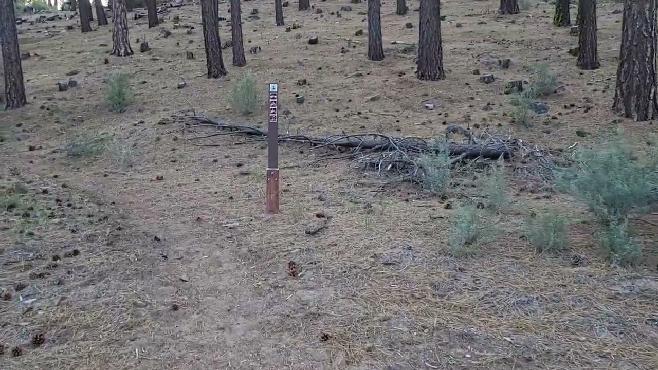 PCT 2025 Day 81. OLd Station & First view of Mt. Shasta