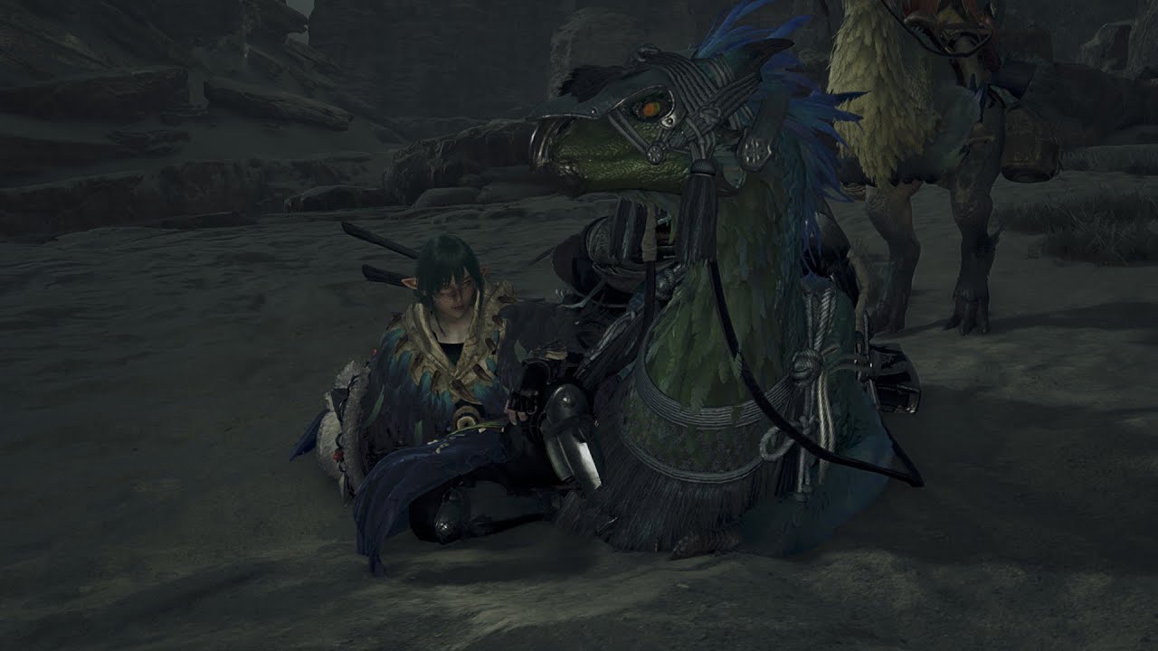 Seikret emotes - Monster Hunter : Wilds