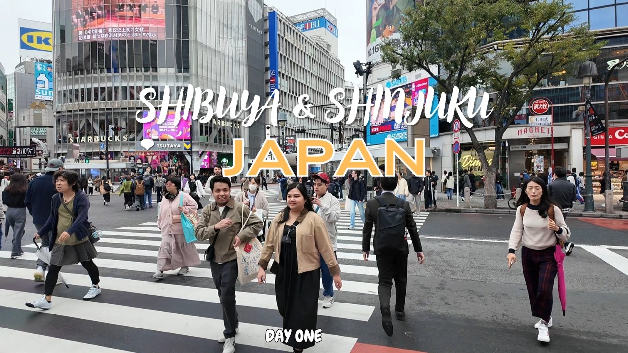 What to do in Shinjuku & Shibuya