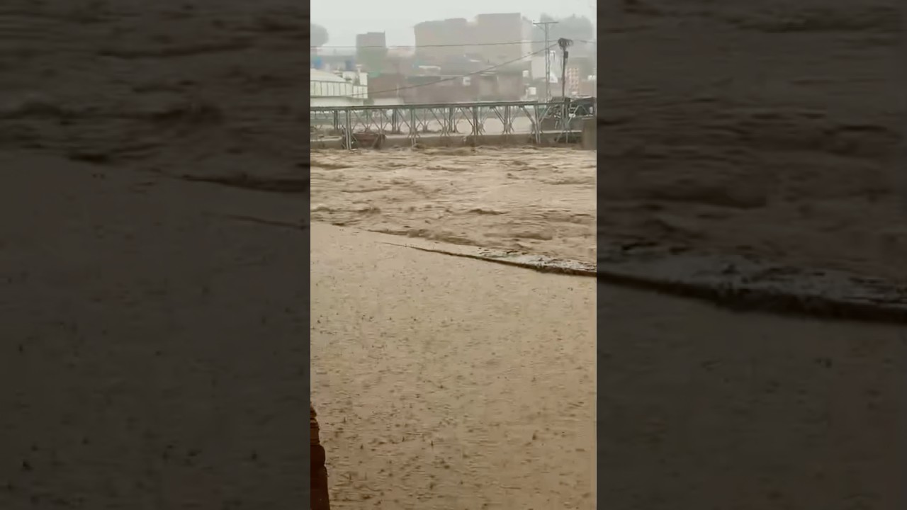 Mingora Swat Flood #flood #selab #swat #viralshort #youtubeshort #swatflood2025