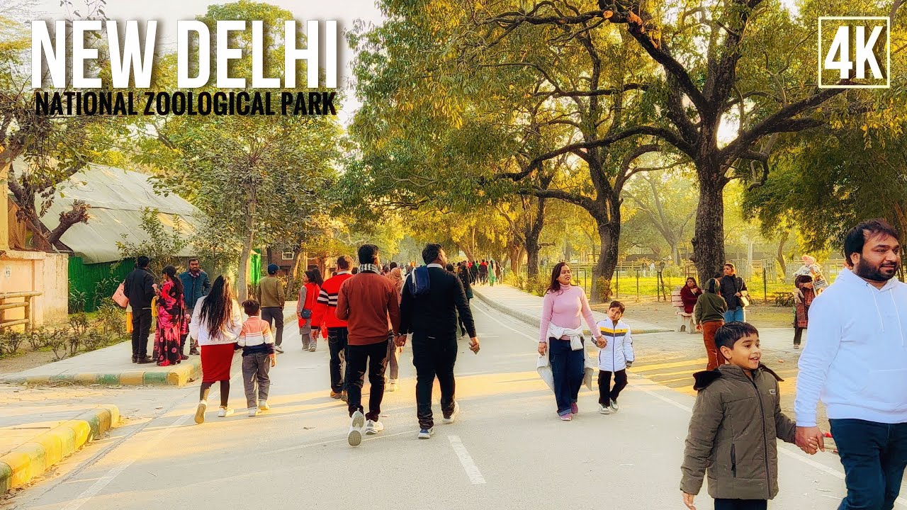 🦁 RELAXING 4K Walking in New Delhi ZOO | Indian Zoological Park Tour- INDIA
