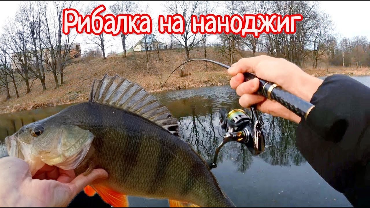Наноджиг - Ловля МИРНОЇ та ХИЖОЇ Риби 🐟 Великий ОКУНЬ та ЩУКА