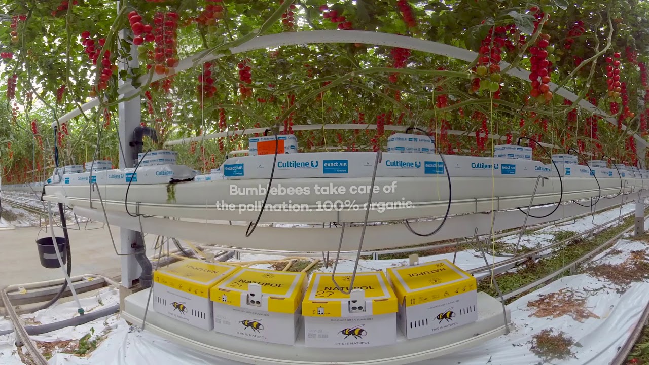 360° experience  Harvest House - Short EN