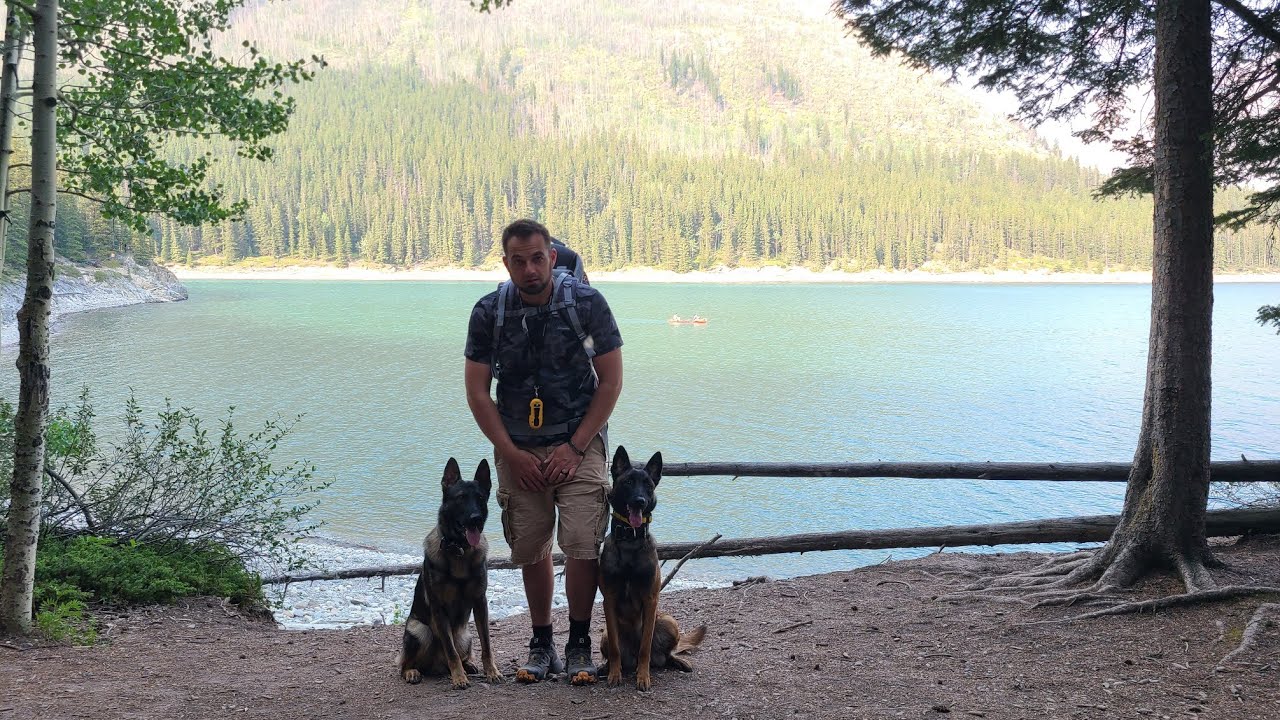 Training a Malinois vs a German Shepherd - Which is BETTER?