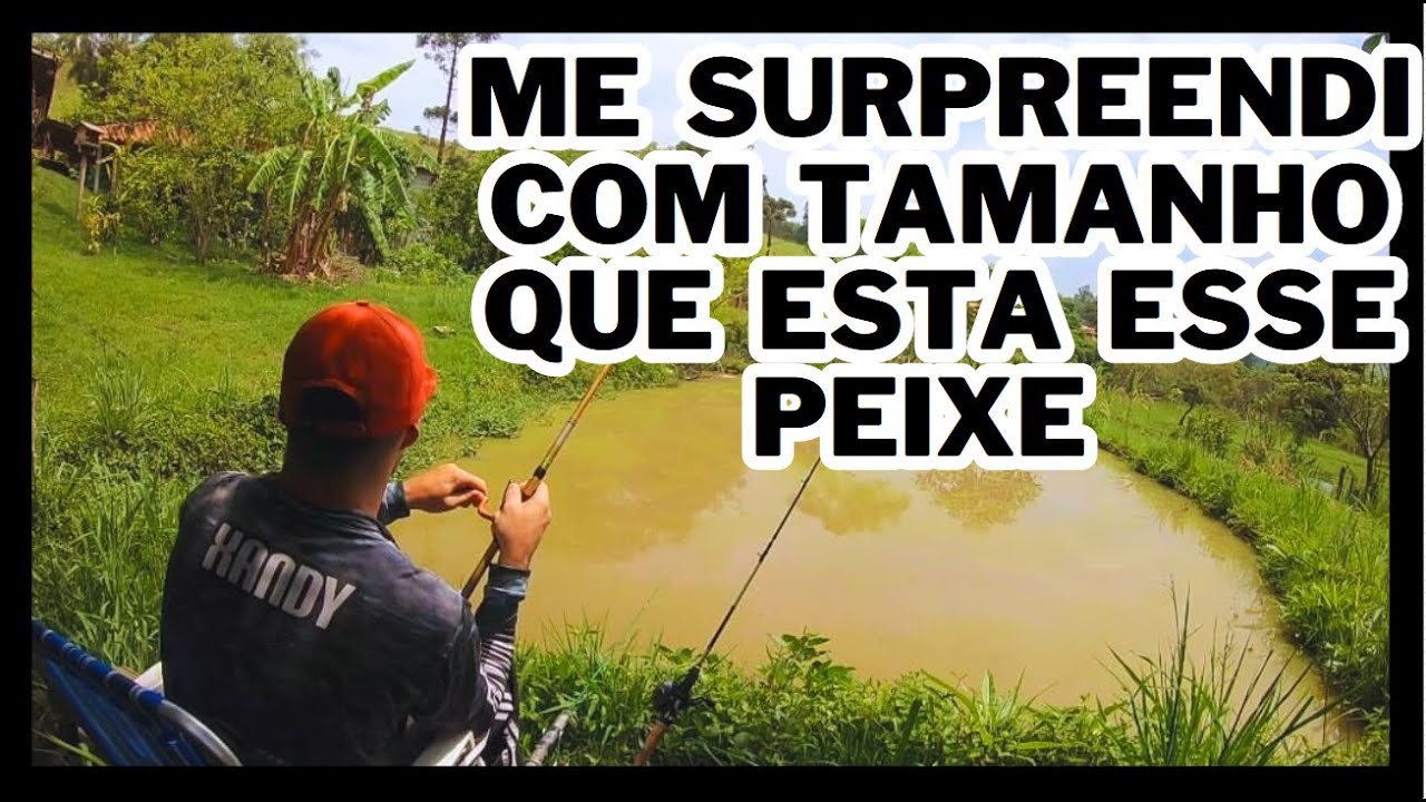 NEM ACREDITEI  QUANDO CHEGOU PERTO ESSE PEIXE ESTA ENORME