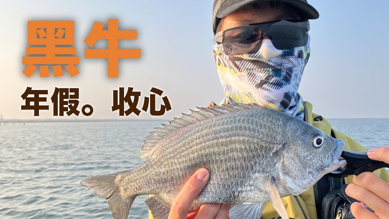 張同學終於找到大黑牛了😁 #LOONGZE #瀧澤B101 #掠 #石鱸 #呱呱  #河豚 #穿針軟餌 #自由釣組 #波動小蝦 #南瓜綠嘎嘎咬