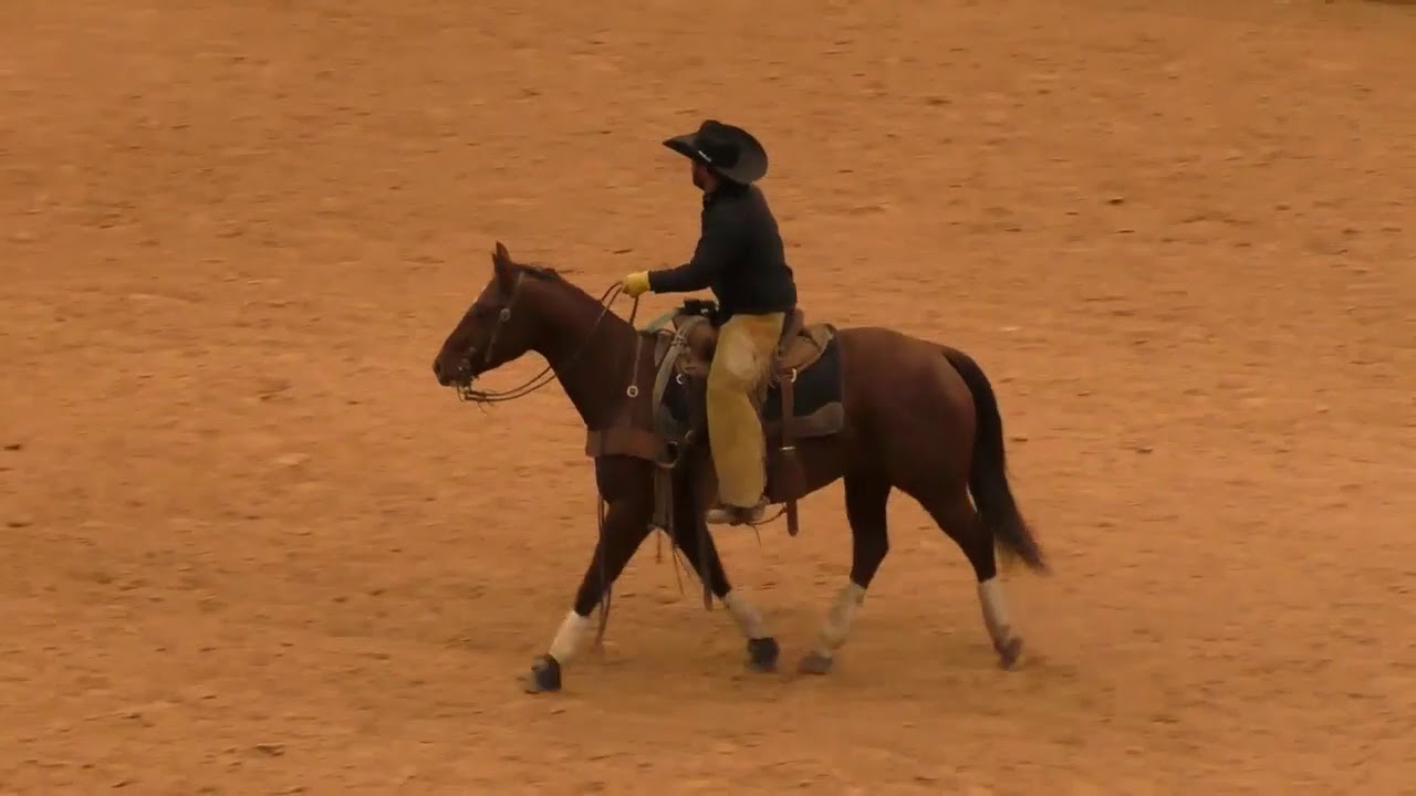 Ranch Horse Show - 2018 WRCA World Championship Ranch Rodeo