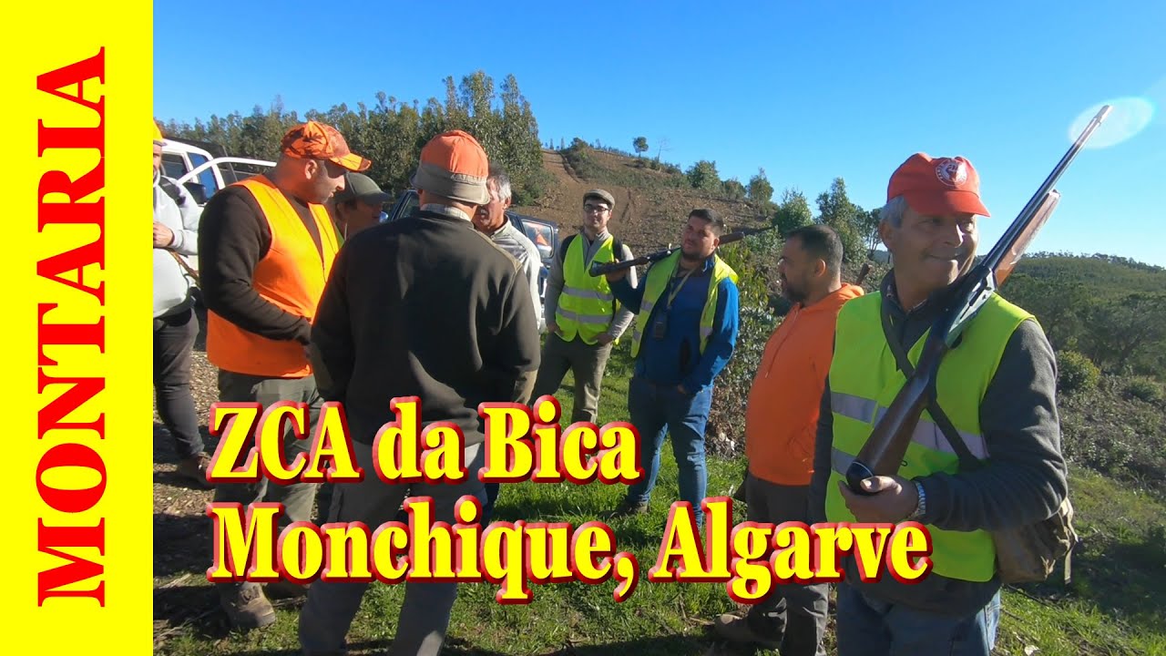 Montaria ao Javali na ZCA da Bica em Monchique, Algarve. Um bom dia como de costume nesta Montaria.