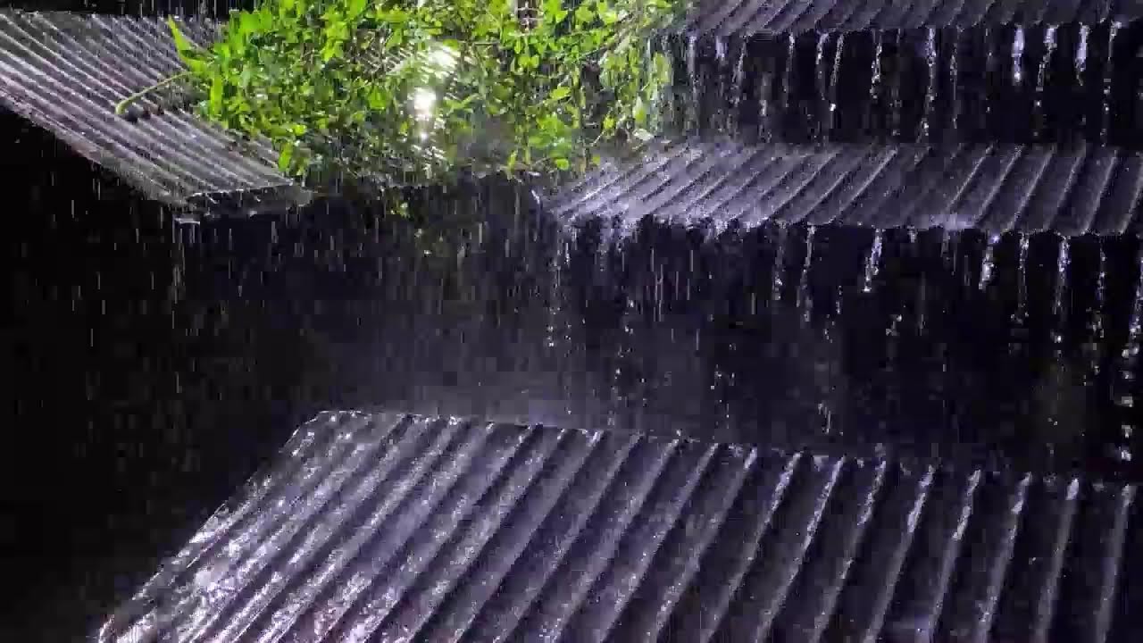 Heavy Rain ASMR on Tin Roof ⚡ Thunder Echoes for Stress Relief