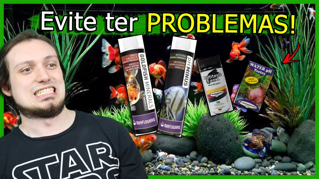 Montou um Aquário de KINGUIOS? Veja esse VÍDEO!