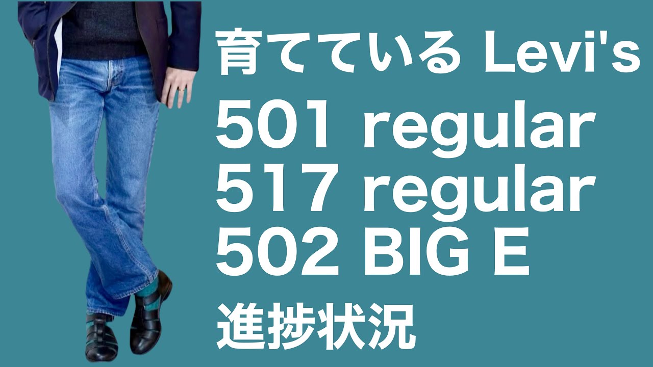 育てているLevi's 進捗状況