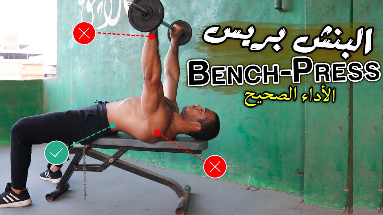تمرين البنش بريس (بدون وجع كتف) - اقوى تمرين صدر | الطريقة الصحيحة ١٠٠٪  بالبار | AFLATON - أفلاطون