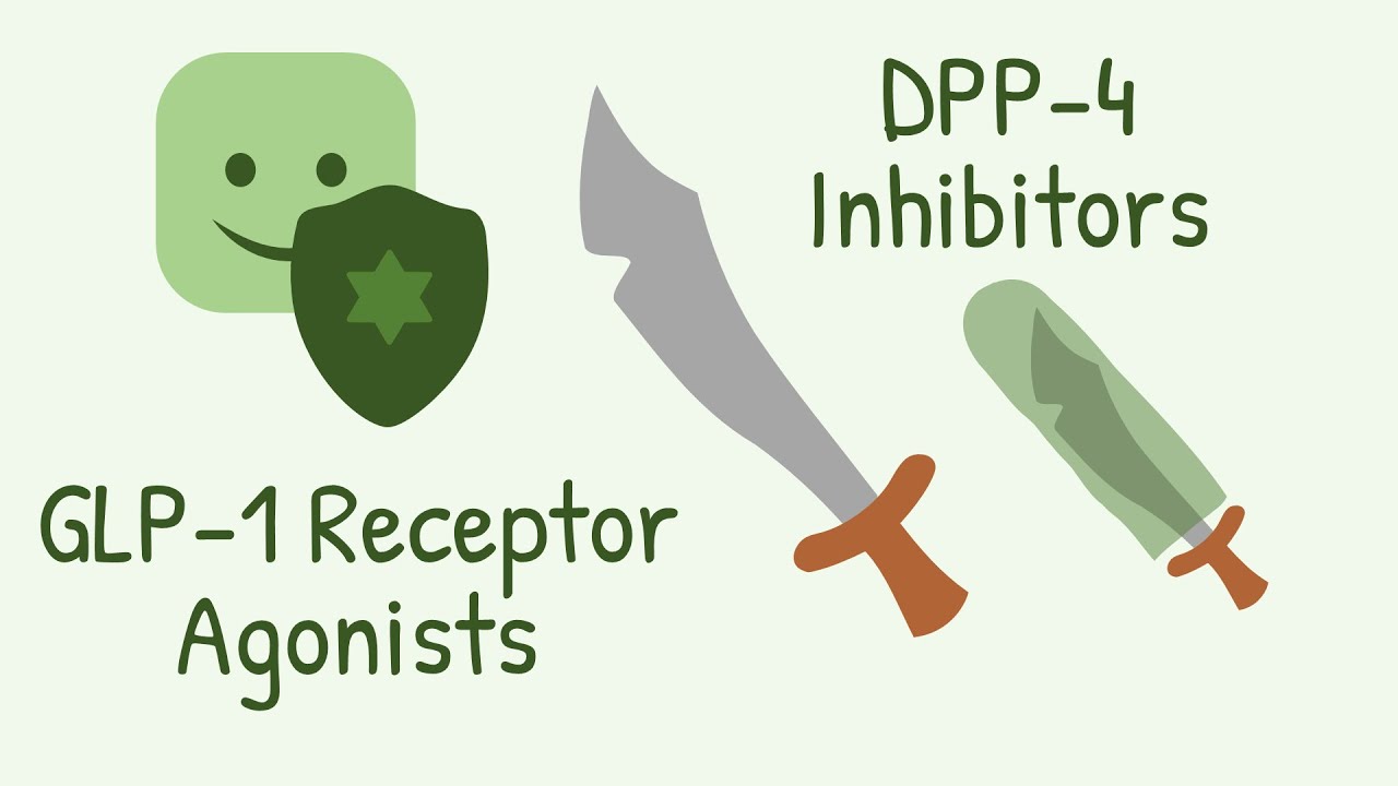 Механизм действия агонистов рецепторов GLP 1 и ингибиторов DPP 4