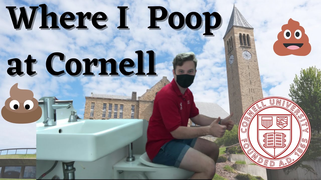 Top 5 Places to Poop at Cornell University