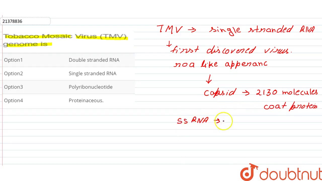 Tobacco Mosaic Virus (TMV) genome is