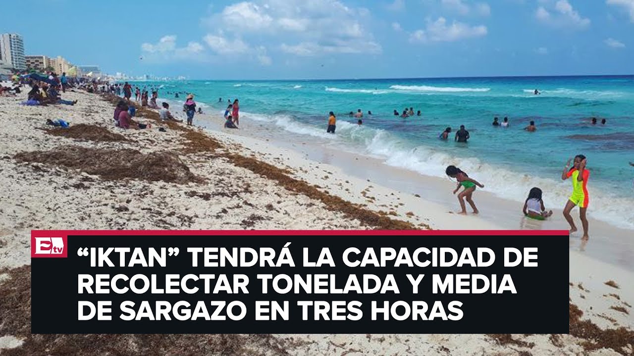 Estudiantes del IPN crean máquina para recolectar sargazo