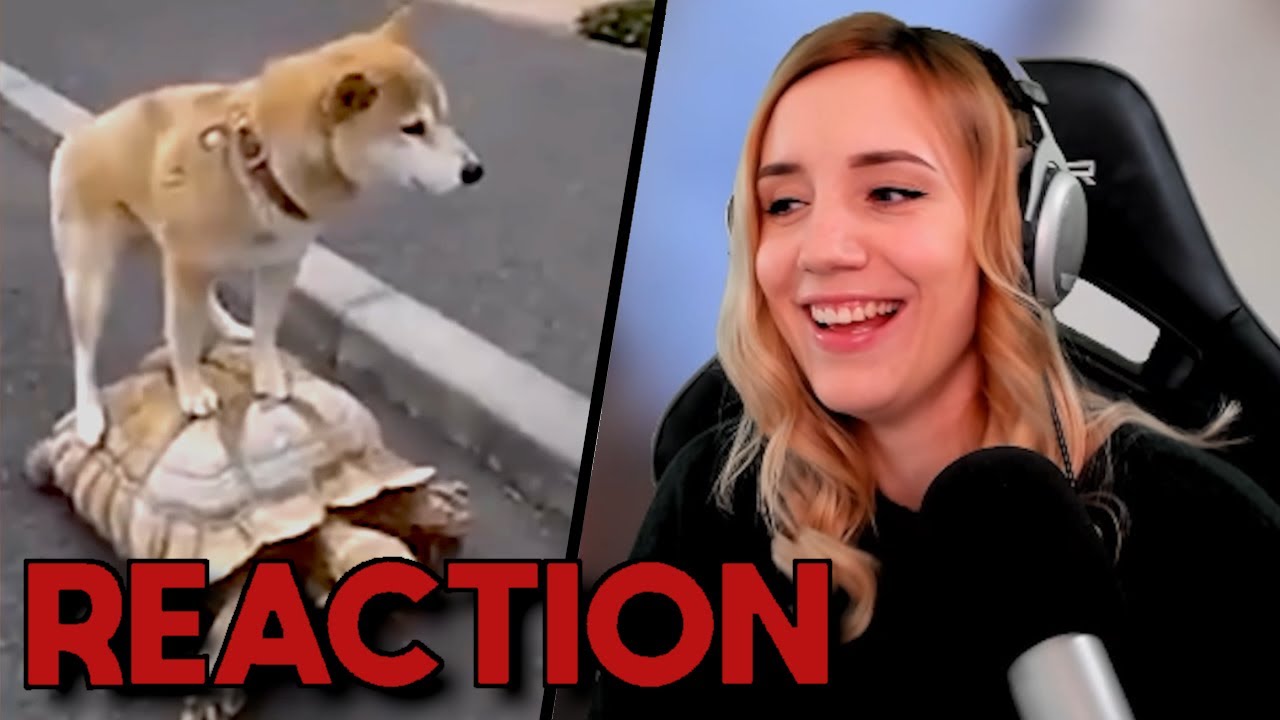 Reaction auf Wincompilation BEST OF 2019 😱 | Sissorstream | Streamhighlights