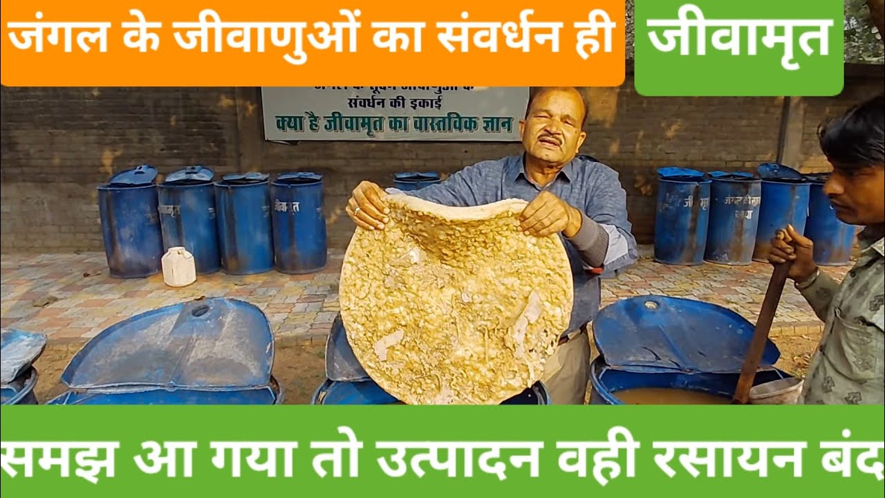 जीवामृत क्या है, कैसे बनता है, कैसे प्रयोग होता है, क्या लाभ है संपूर्ण जानकारी।