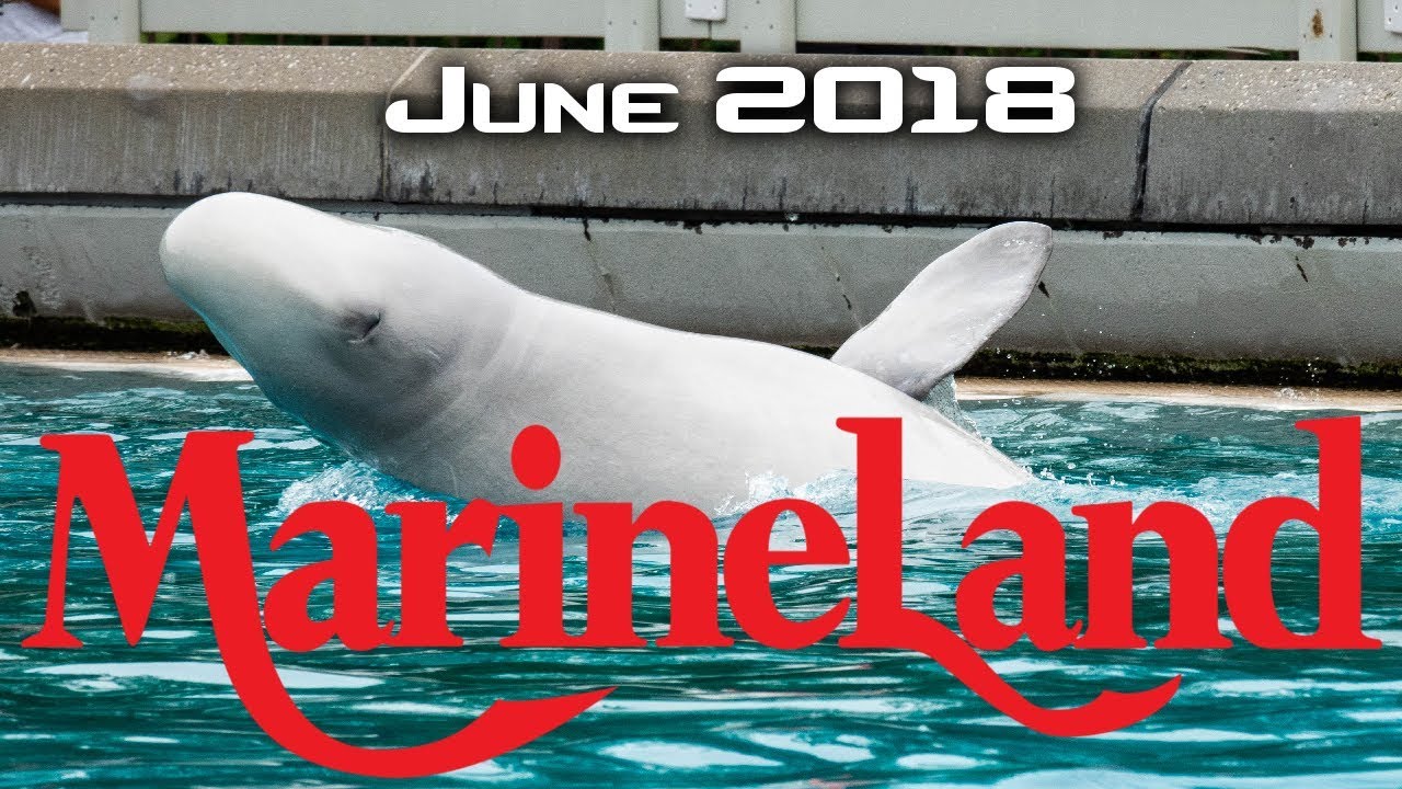 MarineLand (Canada) - June 2018