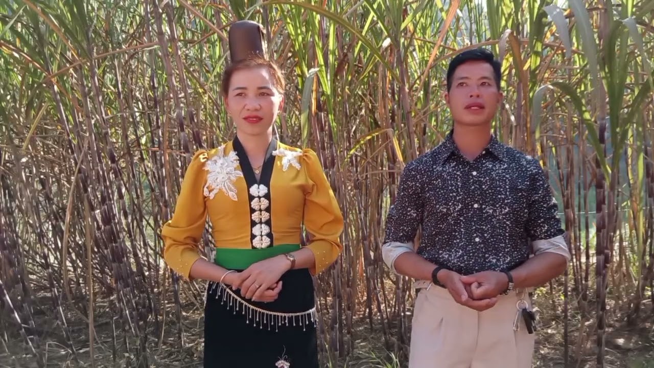 Hát thái giao duyên thể hiện Quàng chinh Hoa Dừa 