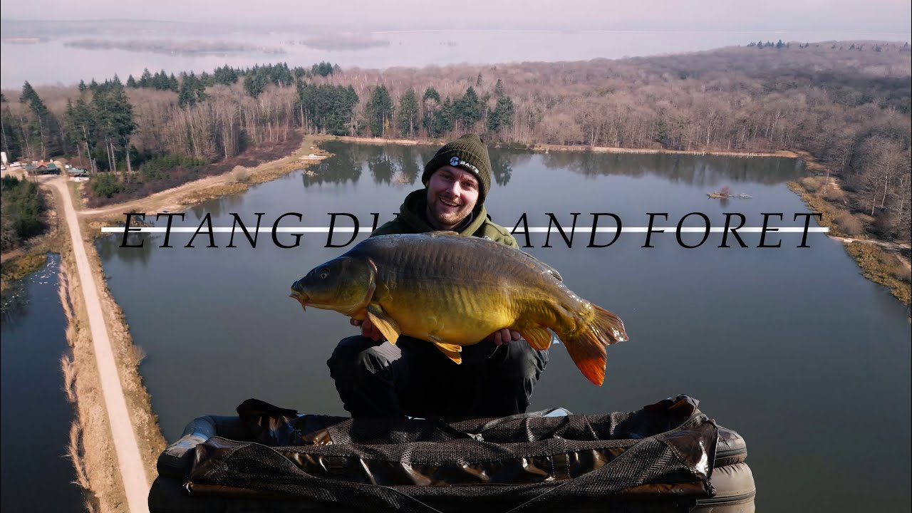Karpfenangeln - In Frankreich - Das ZWEITE Mal an einem PAYLAKE!