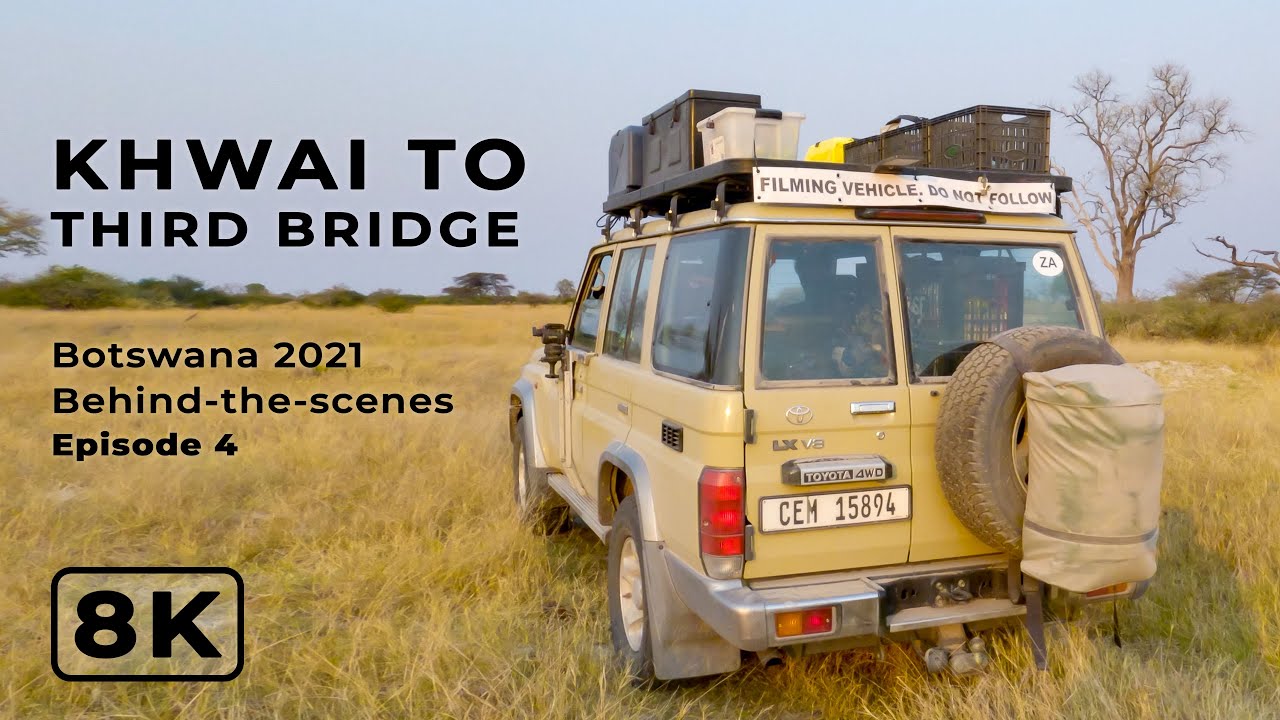 Khwai to Third Bridge | Botswana 2021 Ep 4 | Behind-the-scenes filming African wildlife in 8K