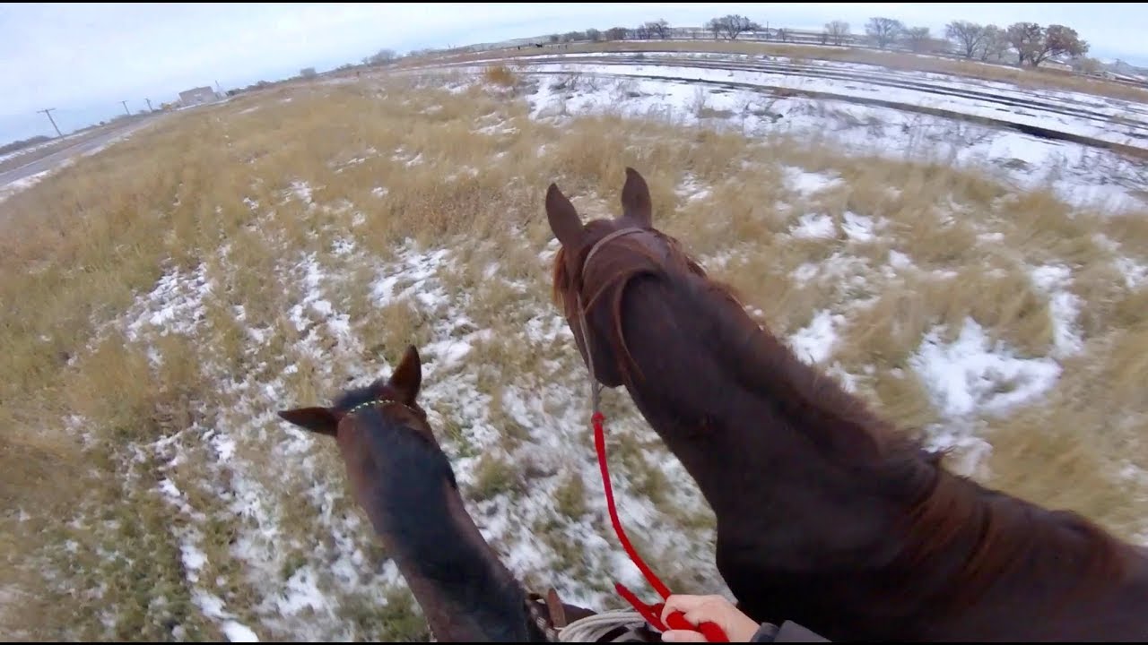 Mosby’s First Time Ponying With Pibby