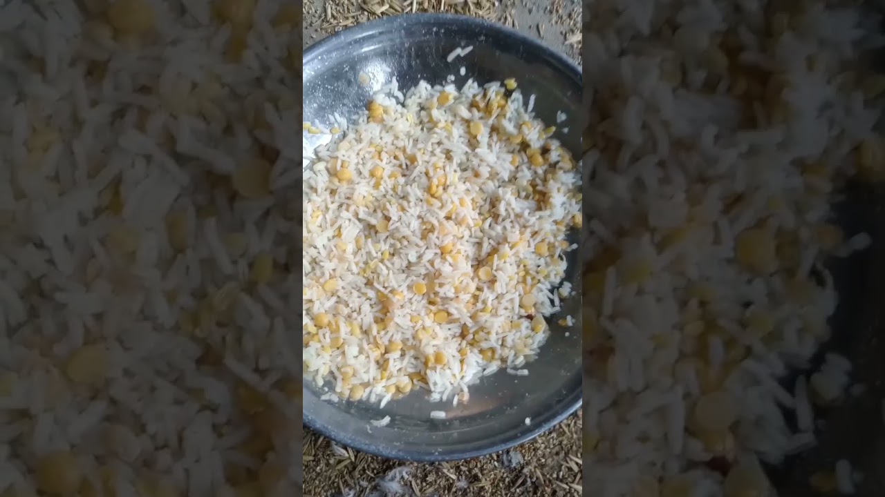java Bird Soft Food