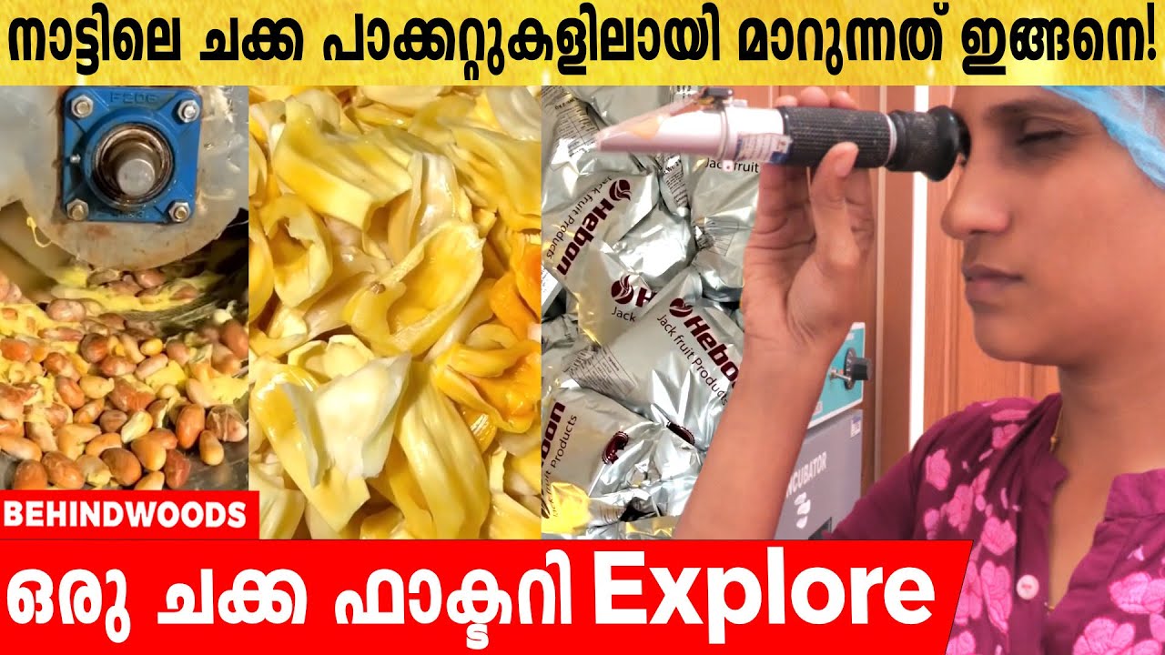 ചക്ക കുഴമ്പ് പരുവത്തിലാക്കി EXPORT ചെയ്യുന്ന FACTORY | പാക്കറ്റിൽ കിട്ടുന്ന ചക്ക ഉണ്ടാക്കുന്ന വിധം