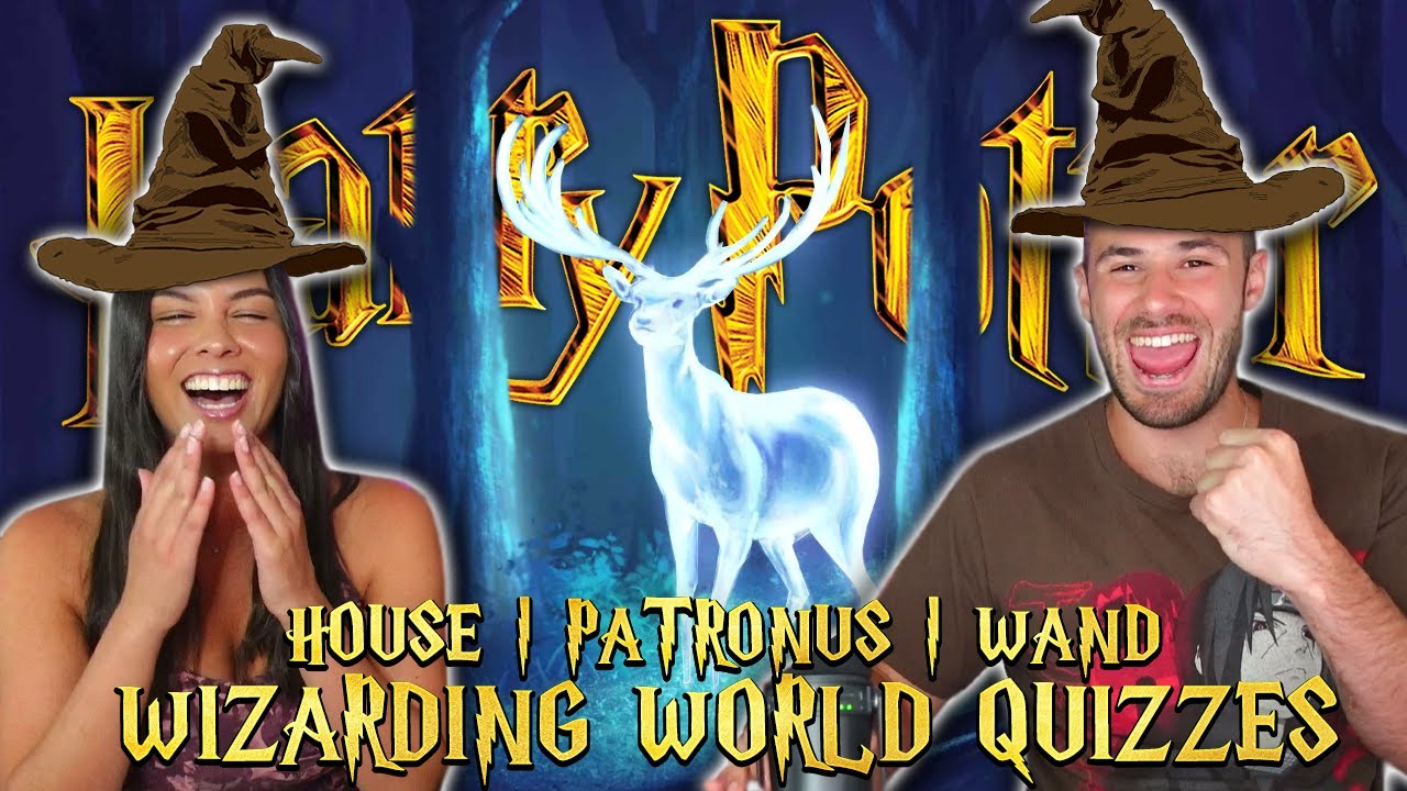 Spartan & Pudgey Take the Harry Potter Wizarding World Quizzes!