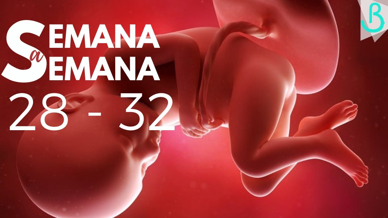 🤰🏻📆SEMANAS 28 - 32 DE EMBARAZO | TERCER TRIMESTRE | SEMANA A SEMANA || Baby Suite by Pau