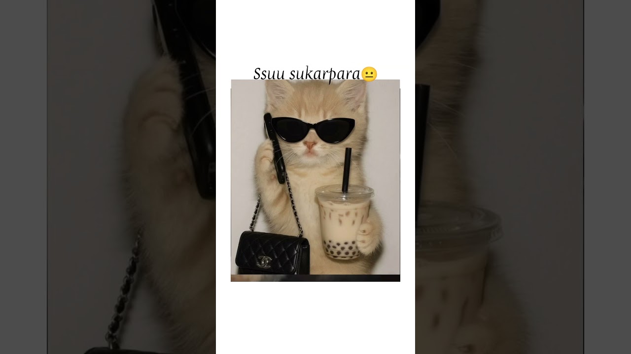 Please guys channel to my sukarpara🤣