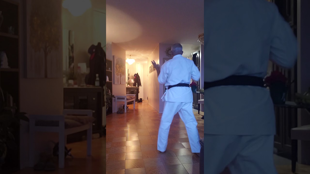 Goju-ryu Karate-Do Shoreikan kata kakuha no. 1