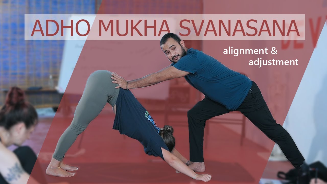 How to do Adho Mukha Svanasana (downward facing dog yoga pose) - correct alignment and adjustments