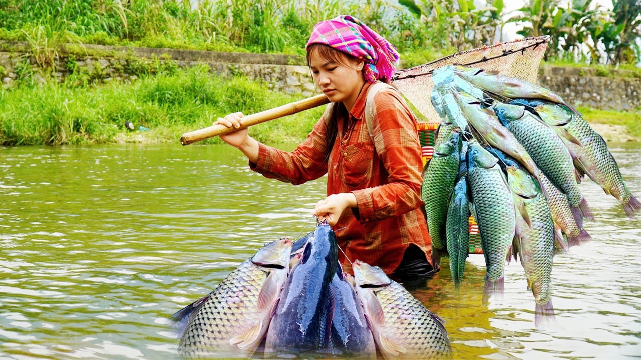 A 17-year-old single mother built a dam under the river to catch giant carp to sell at the market