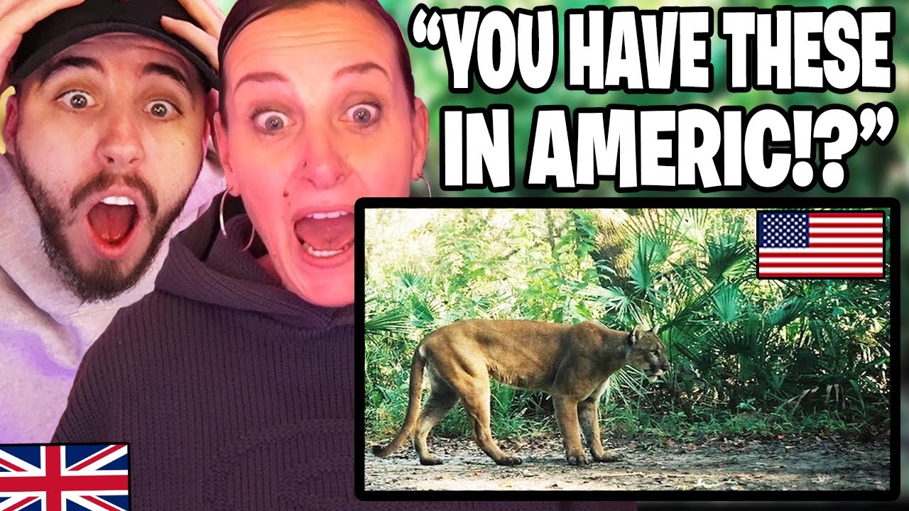 British Mum Reacts to Animals Only Found in America!