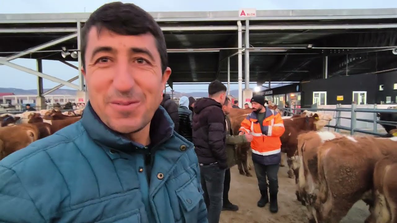 ÇORUM HAYVAN PAZARI 16 ŞUBAT ÇEKİMİ 1.BÖLÜM 16 ŞUBAT 2026