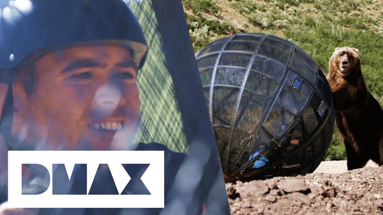 Man Faces Grizzly Bear With Only A Thin Steel Cage Between Them | Man vs. Bear