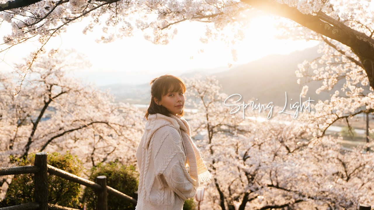 In the Embrace of Japan’s Spring Light | Shot on LUMIX S5IIX