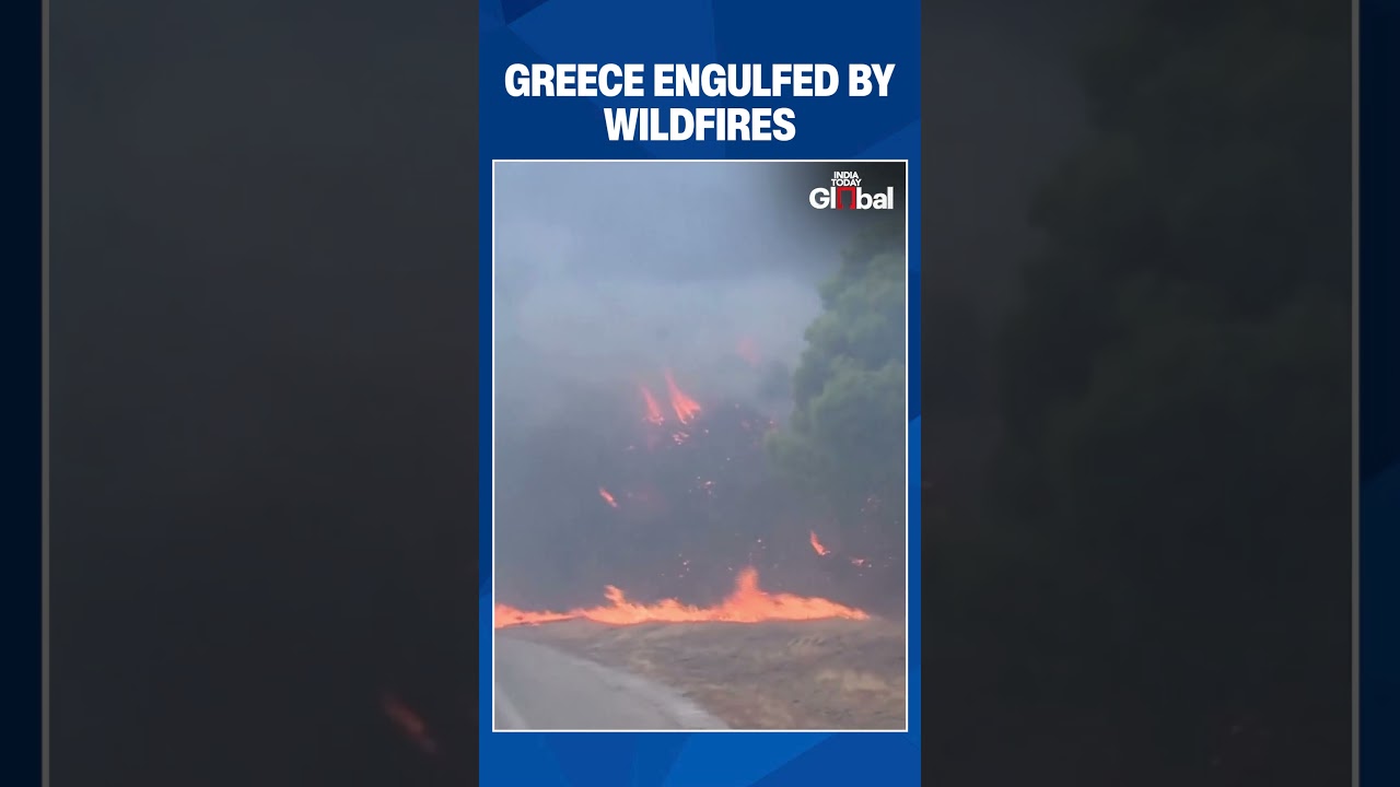 Greece Wildfires Rage Near Athens as Europe Battles Deadly Heatwave and Massive Blazes |#shorts