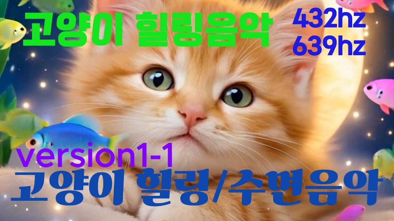 보고만 있어도 마음이 편안해지는 고양이 힐링 영상  #고양이 가 좋아 하는 음악,# 고양이 노래,# 고양이 노래 밈, 고양이 가 좋아 하는 영상,# 고양이가 좋아 하는 행동