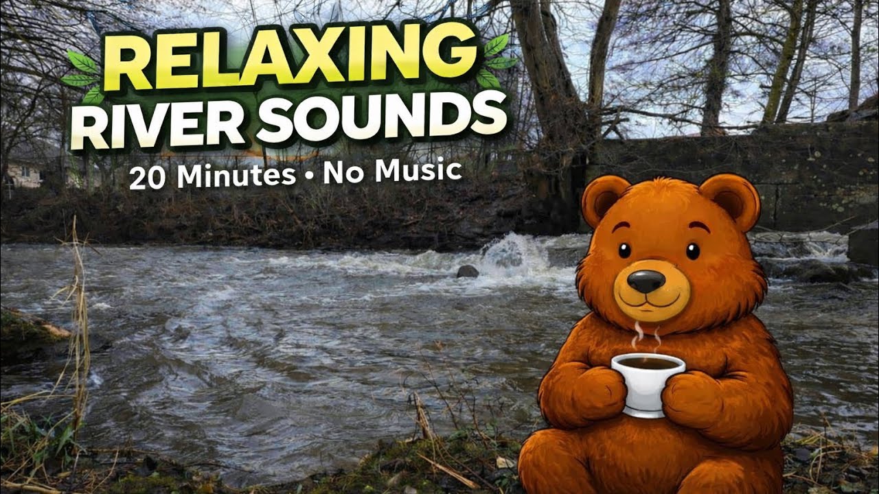Relaxing River Sounds (20 Min) 🌊 Natural Stream Noise for Sleep, Study & Stress Relief
