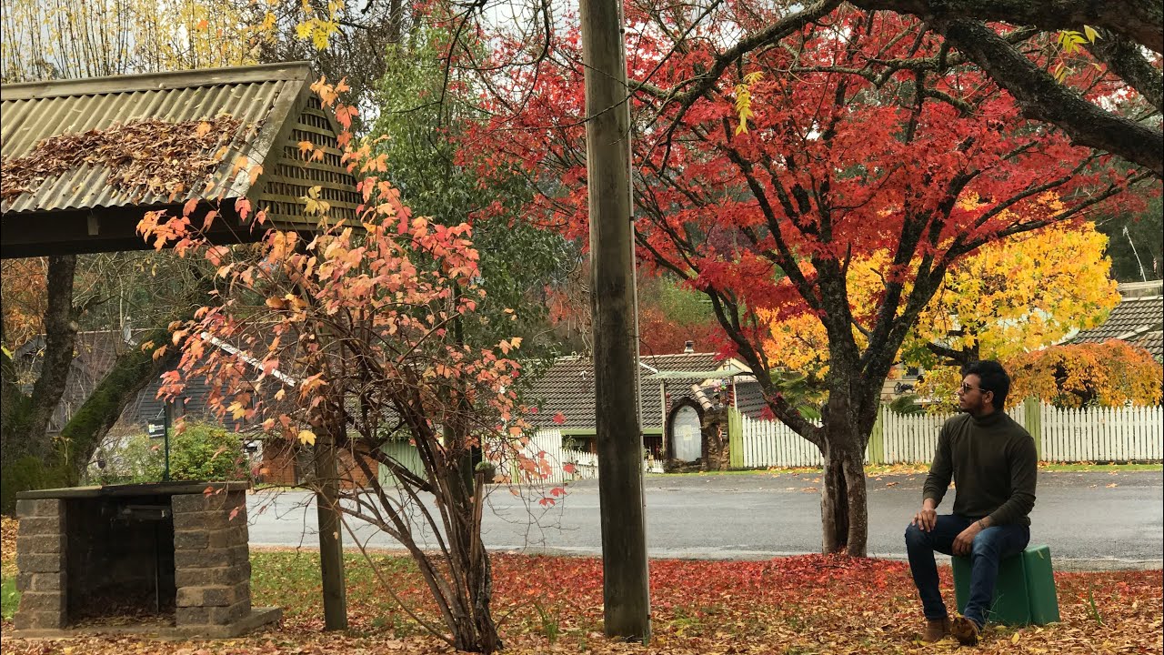 Bright, Victoria , Australia video/ Autumn in Bright video (full video)