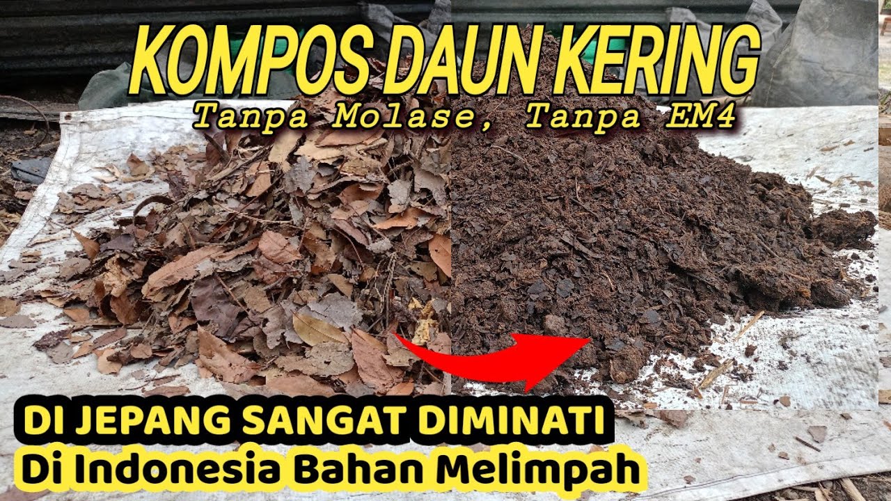 SANGAT MUDAH‼️BIKIN KOMPOS DAUN KERING TANPA EM4, TANPA MOLASE, NO RIBET..
