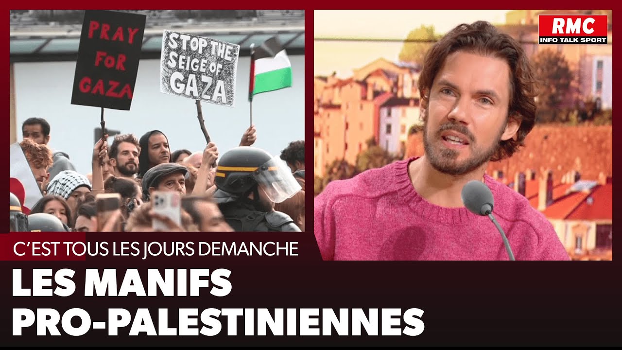 Arnaud Demanche - Les manifs pro-palestiniennes