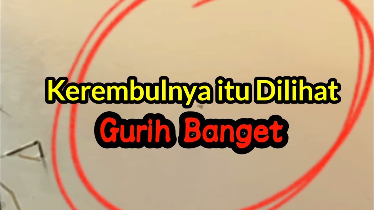 Ada yang kaget spot sekecil ini ada jenis ikan ini