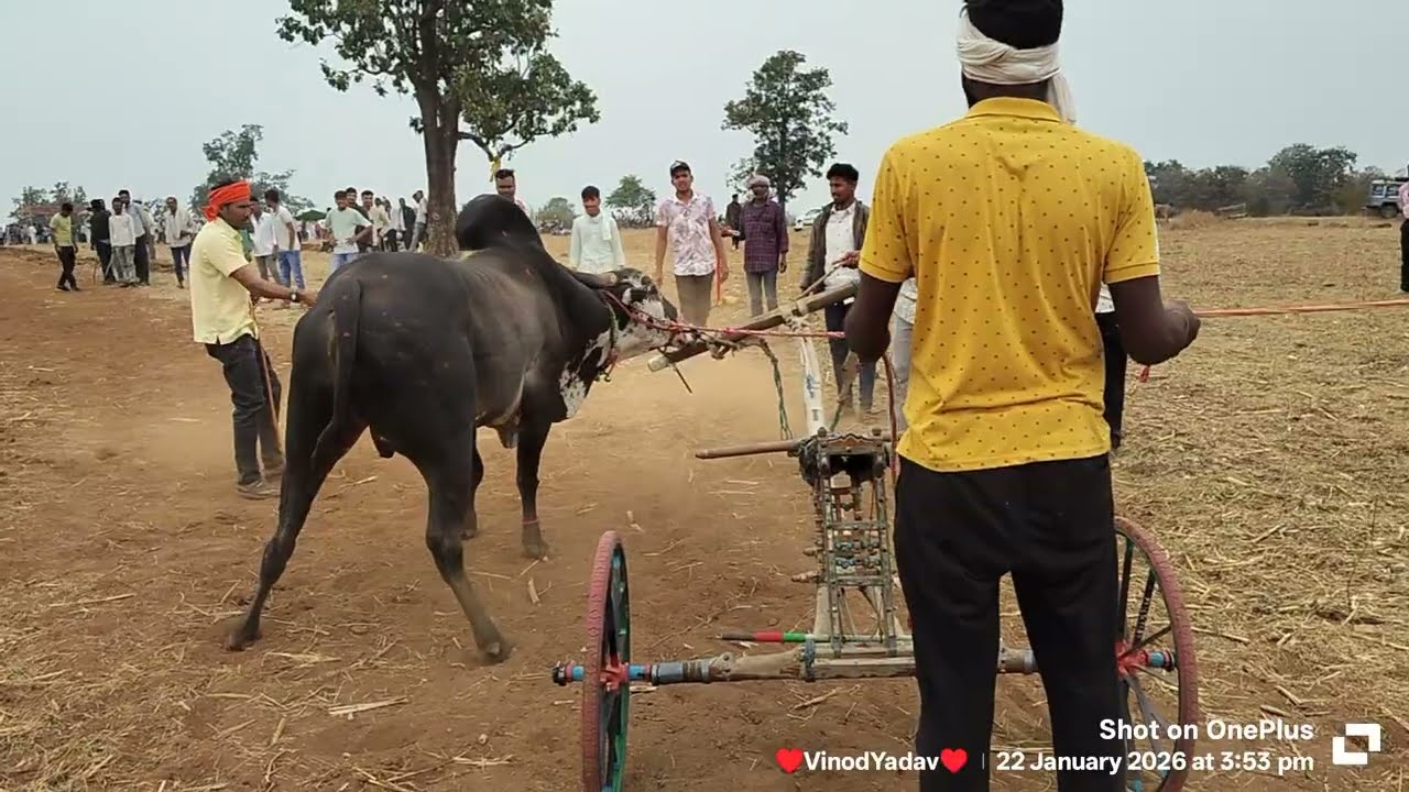 राम वर्मा भयावाडी यांचा तूफान आणि गोरेलाल यादव पॉवरझंडा यांचा दहशत कींग केसरी।