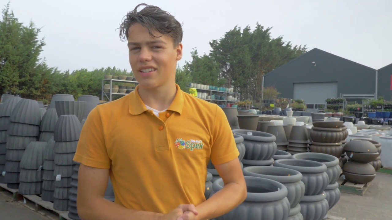 van der Spek - Voordeeltuincentrum | Zevenhuizen.